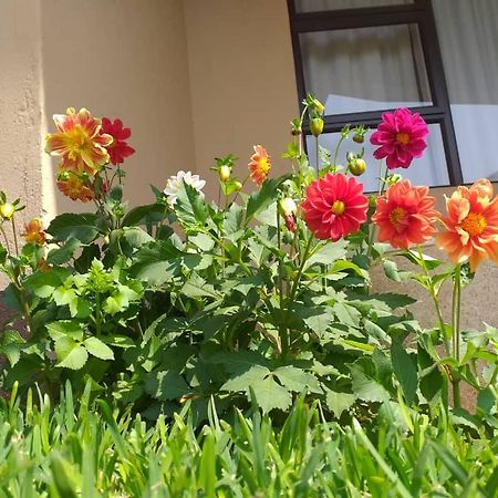 Styled Bed And Breakfast Palapye Luaran gambar