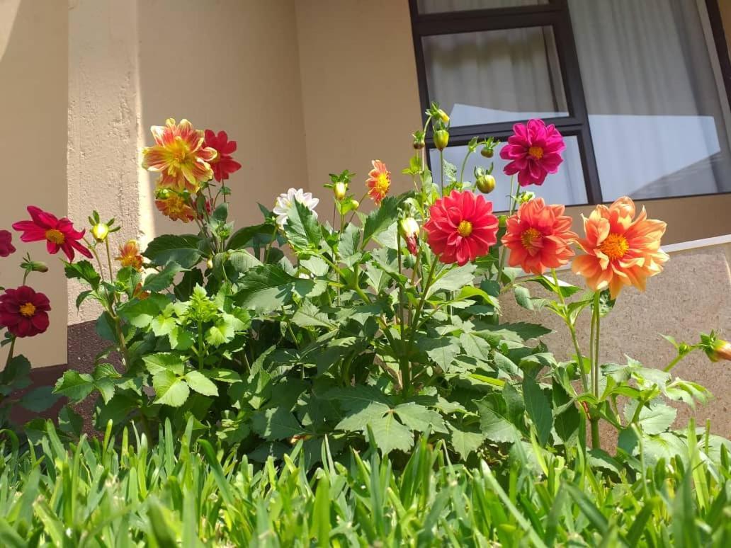 Styled Bed And Breakfast Palapye Luaran gambar
